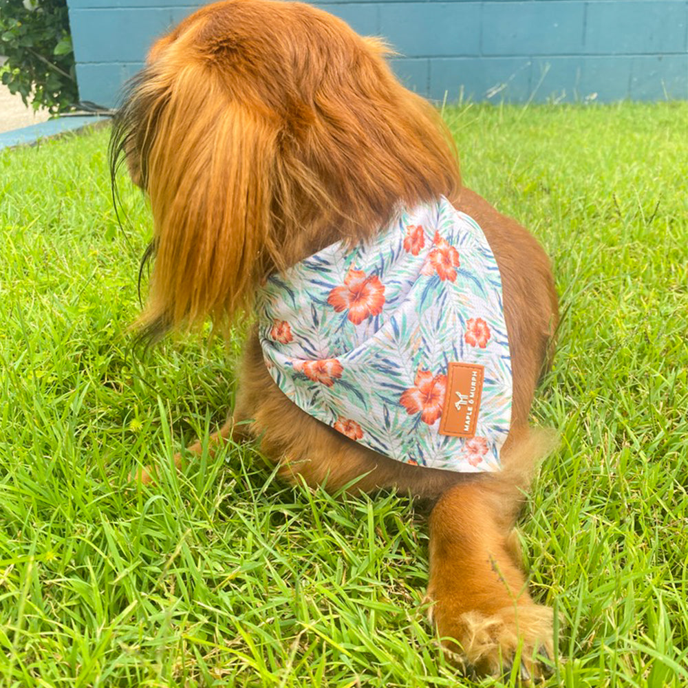 Hibiscus Heaven Bandana