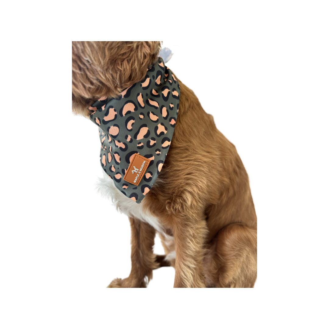 Safari Bandana