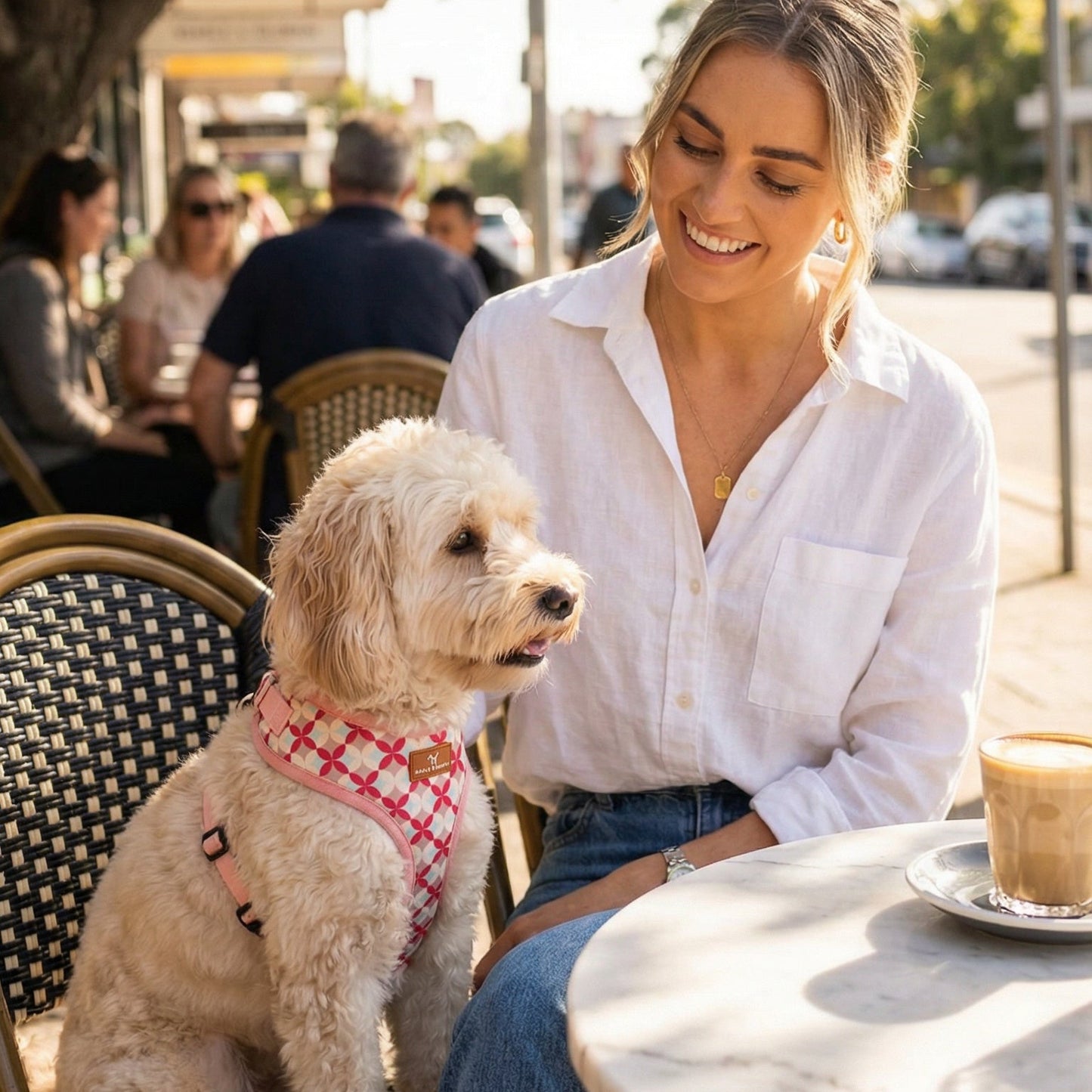 Pretty In Pink Harness