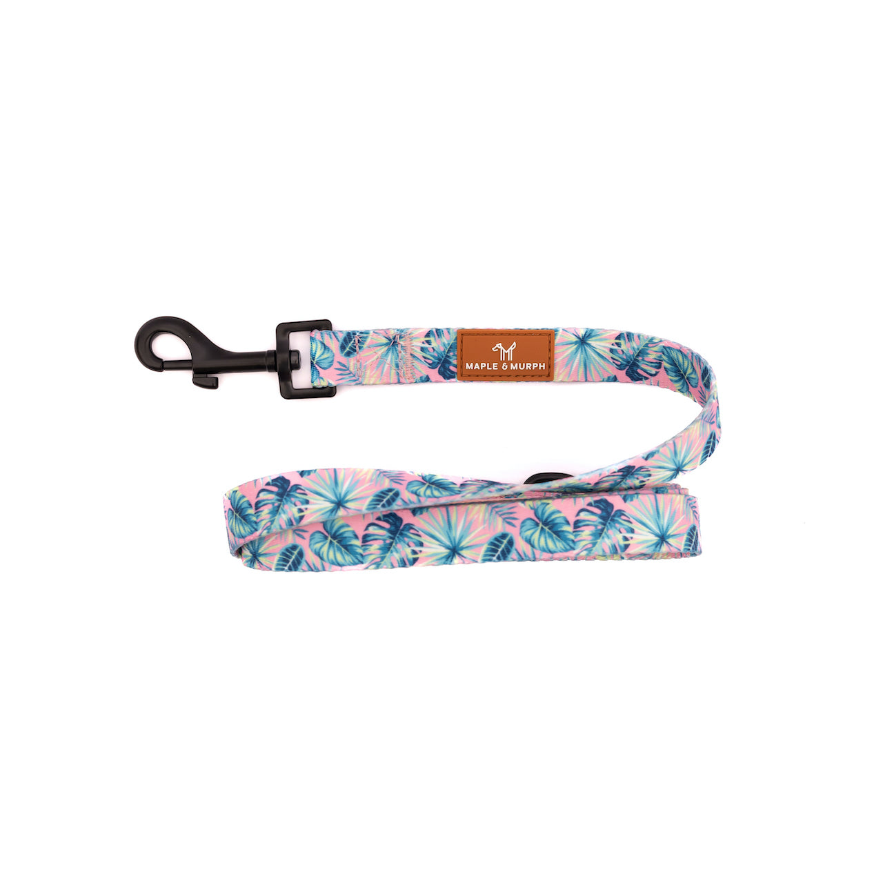 Palm Springs Leash