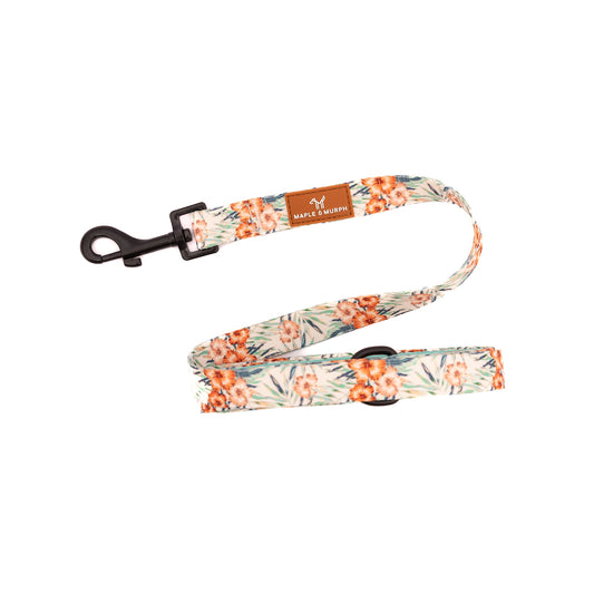 Hibiscus Heaven Leash