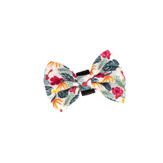 Aloha Bow Tie