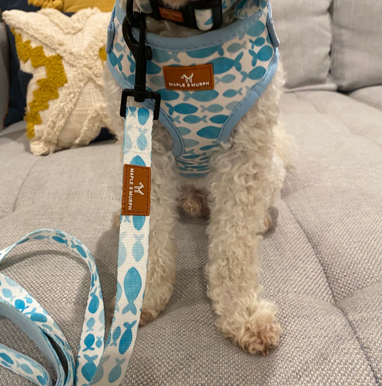 Ocean Blue Harness