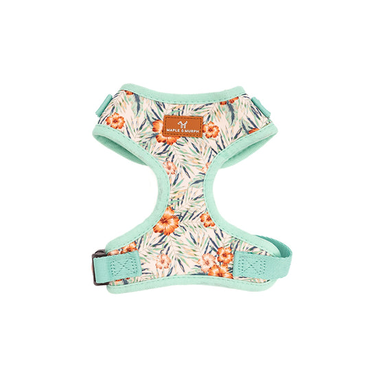 Hibiscus Heaven Harness